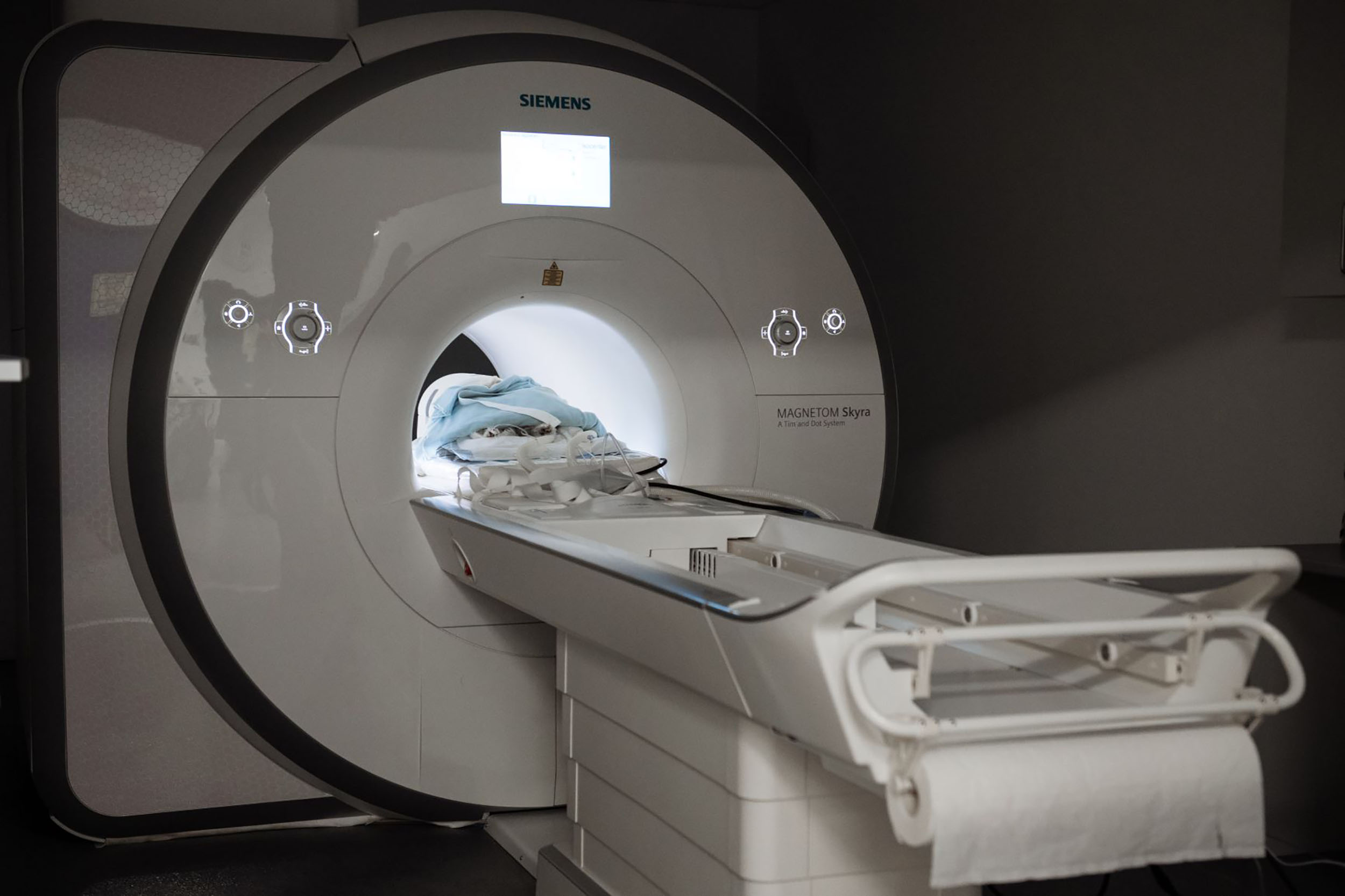 Advanced Pet Medical Imaging in North York | Accurate Diagnostics 