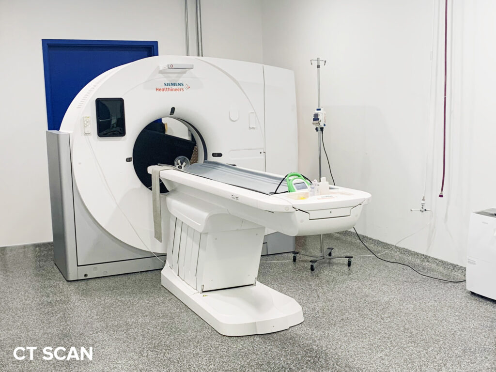 CT Scan - North York Toronto Animal Health Partners