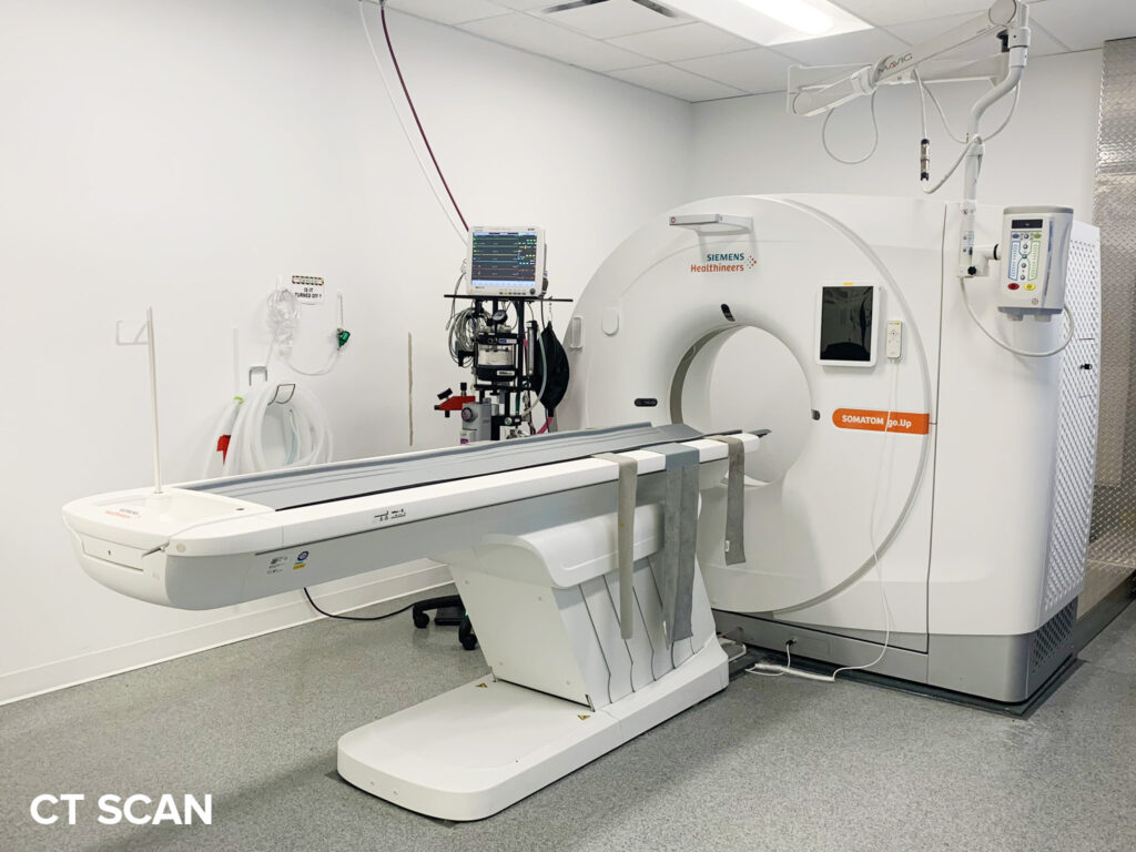 CT Scan - Lakeshore Animal Health Partner, Mississauga, Ontario