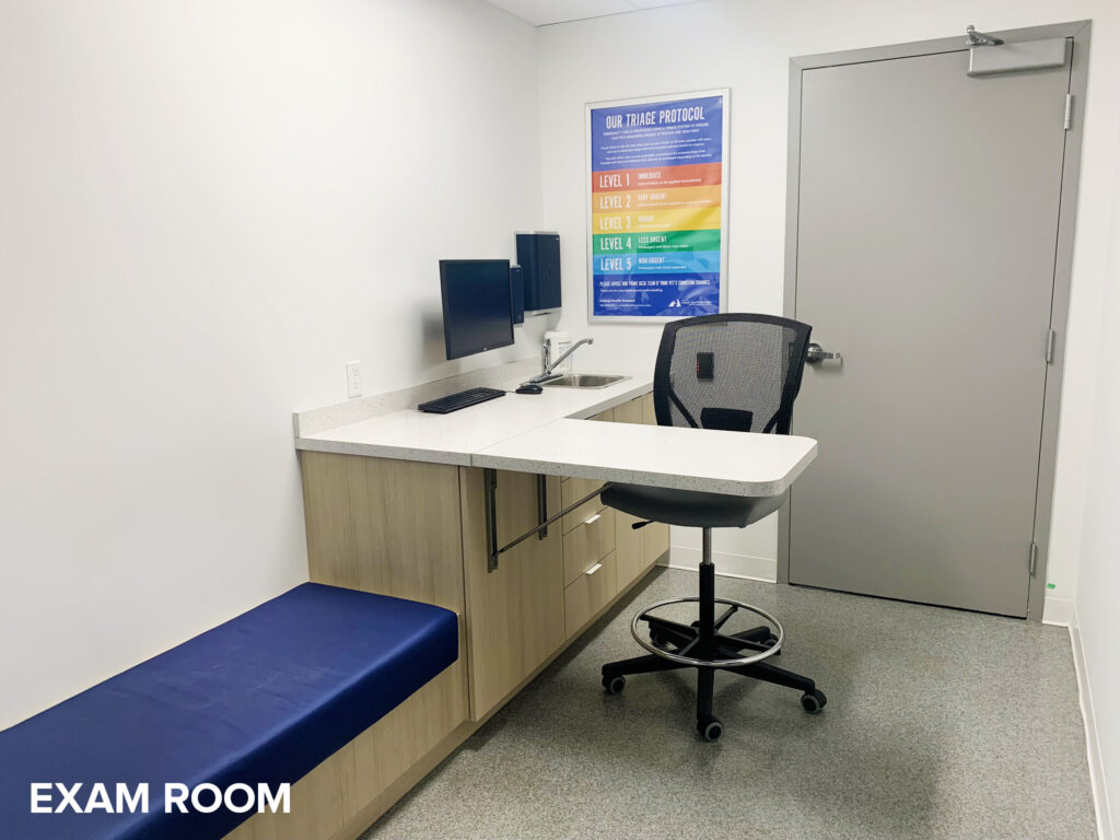 Exam Room - Lakeshore Animal Health Partner, Mississauga, Ontario