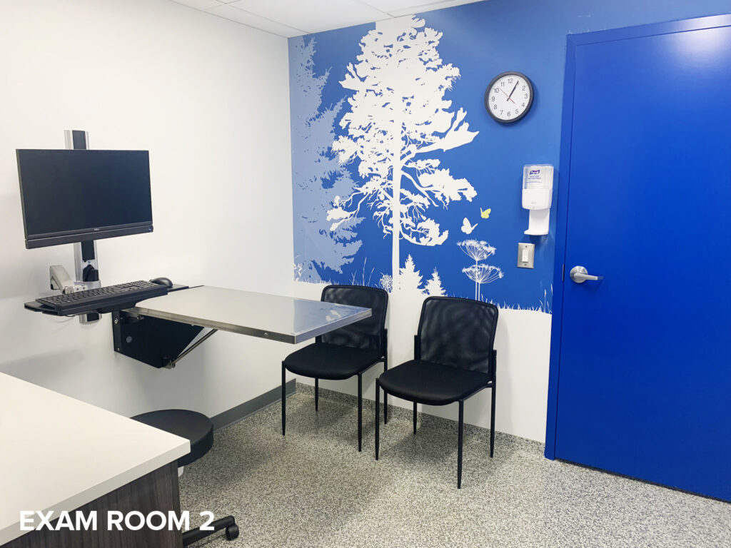 Exam Room - North York Toronto Animal Health Partners