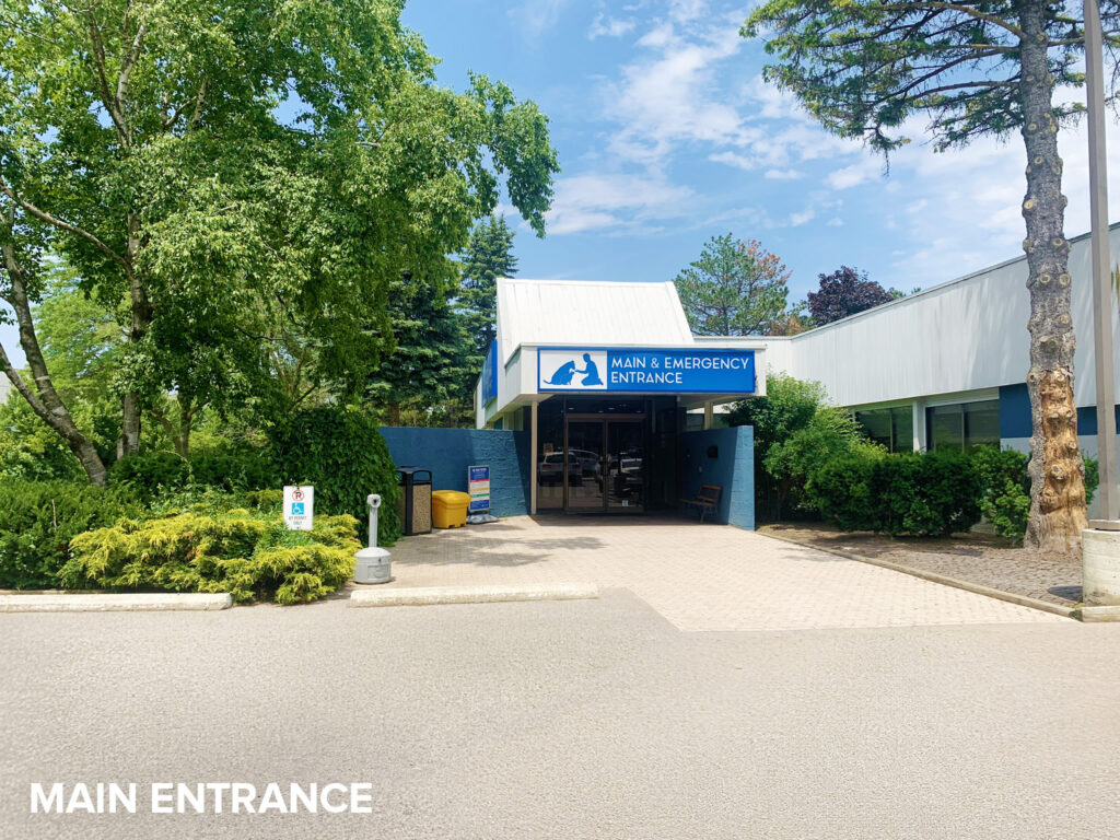 Exterior, North York Toronto Animal Health Partners