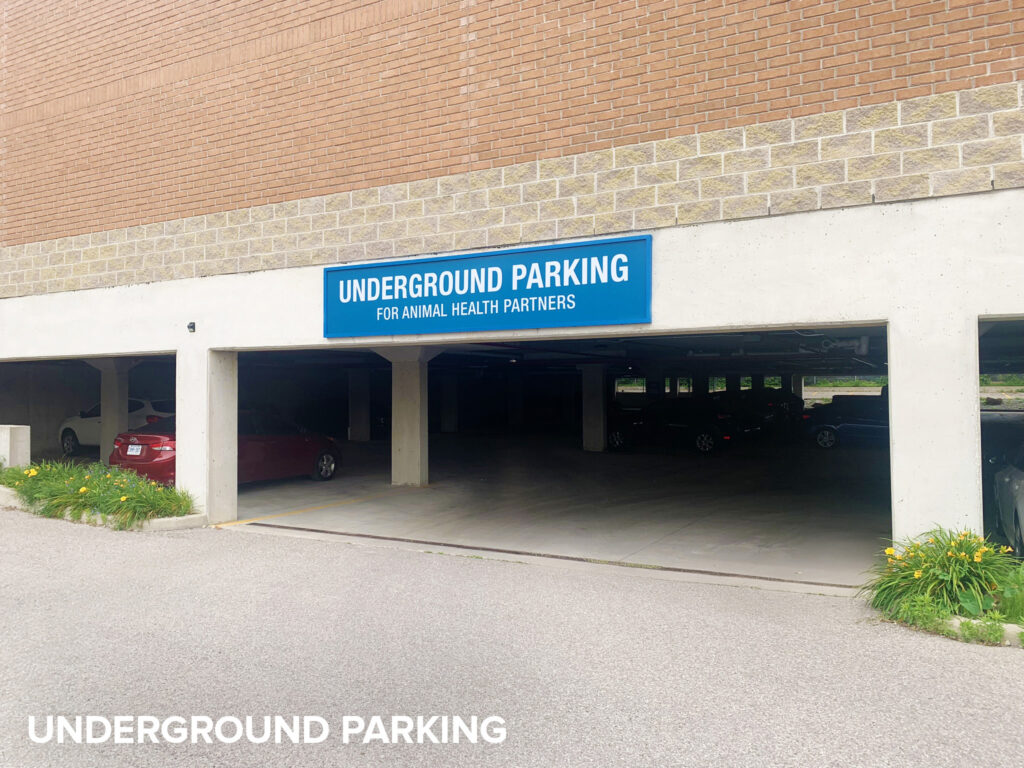 Underground Parking - Lakeshore Animal Health Partner, Mississauga, Ontario